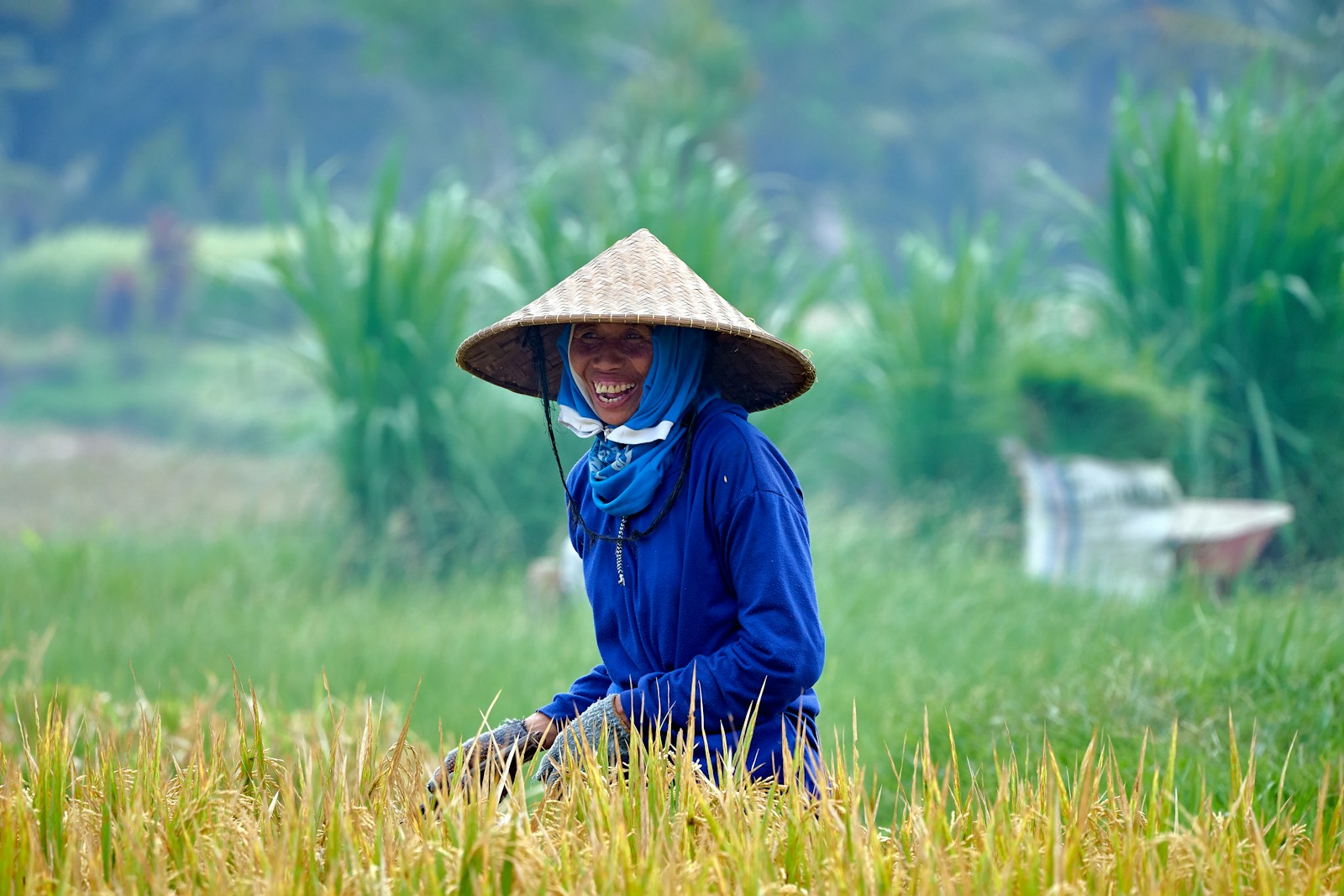 woman in blue jacket wearing brown hat standing on green grass field during daytime